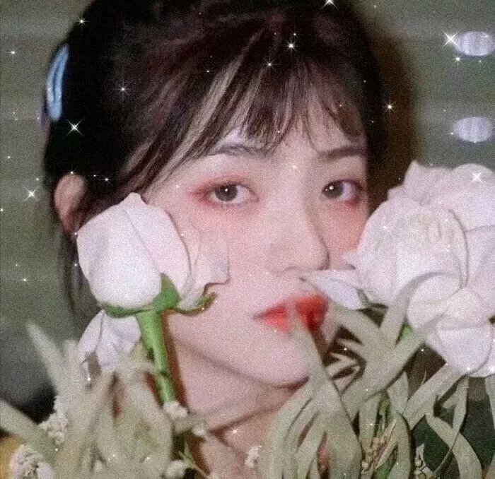 人生双行线